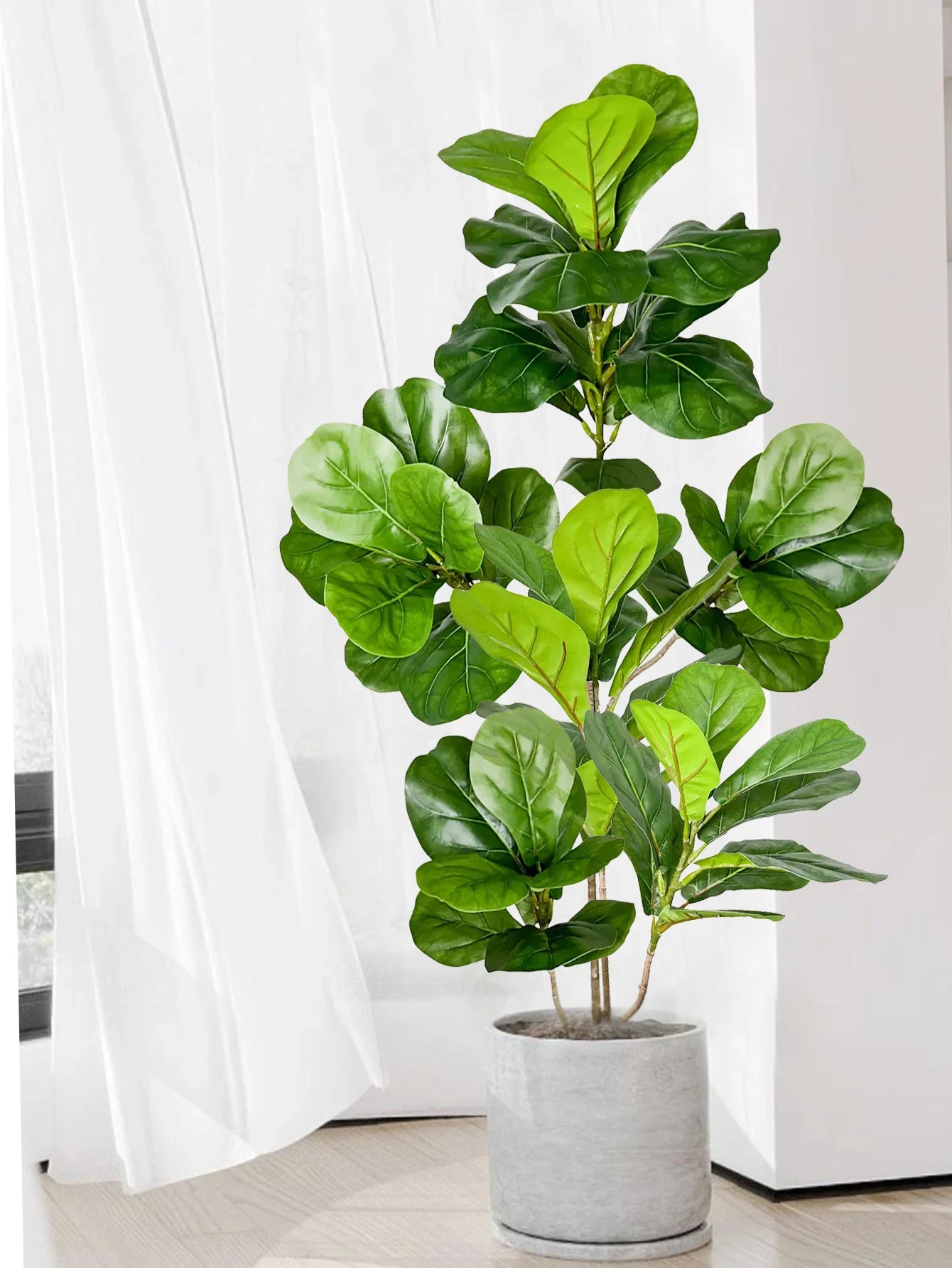 DecoFicus® – A Sophisticated Touch for Your Space.