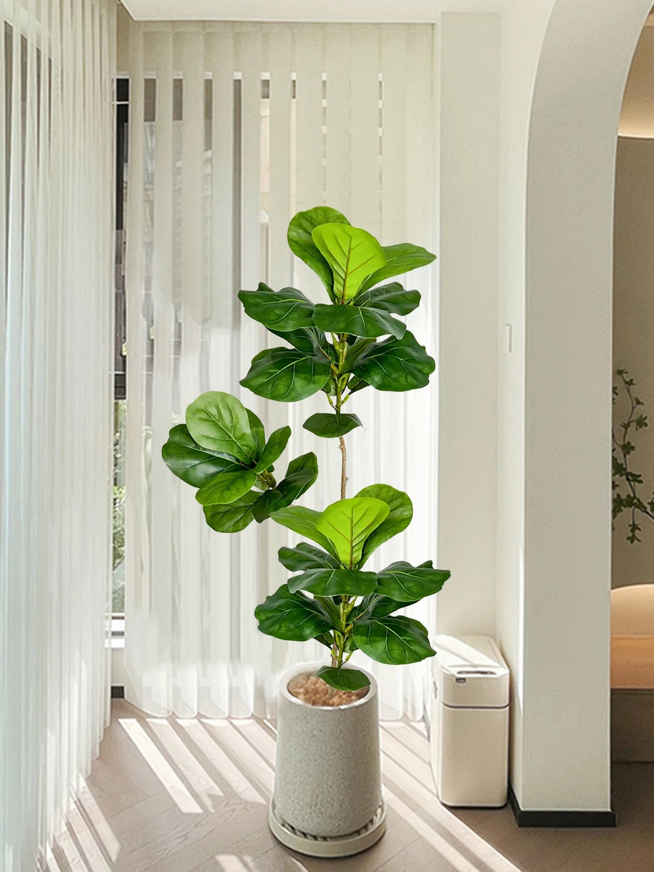 DecoFicus® – A Sophisticated Touch for Your Space.