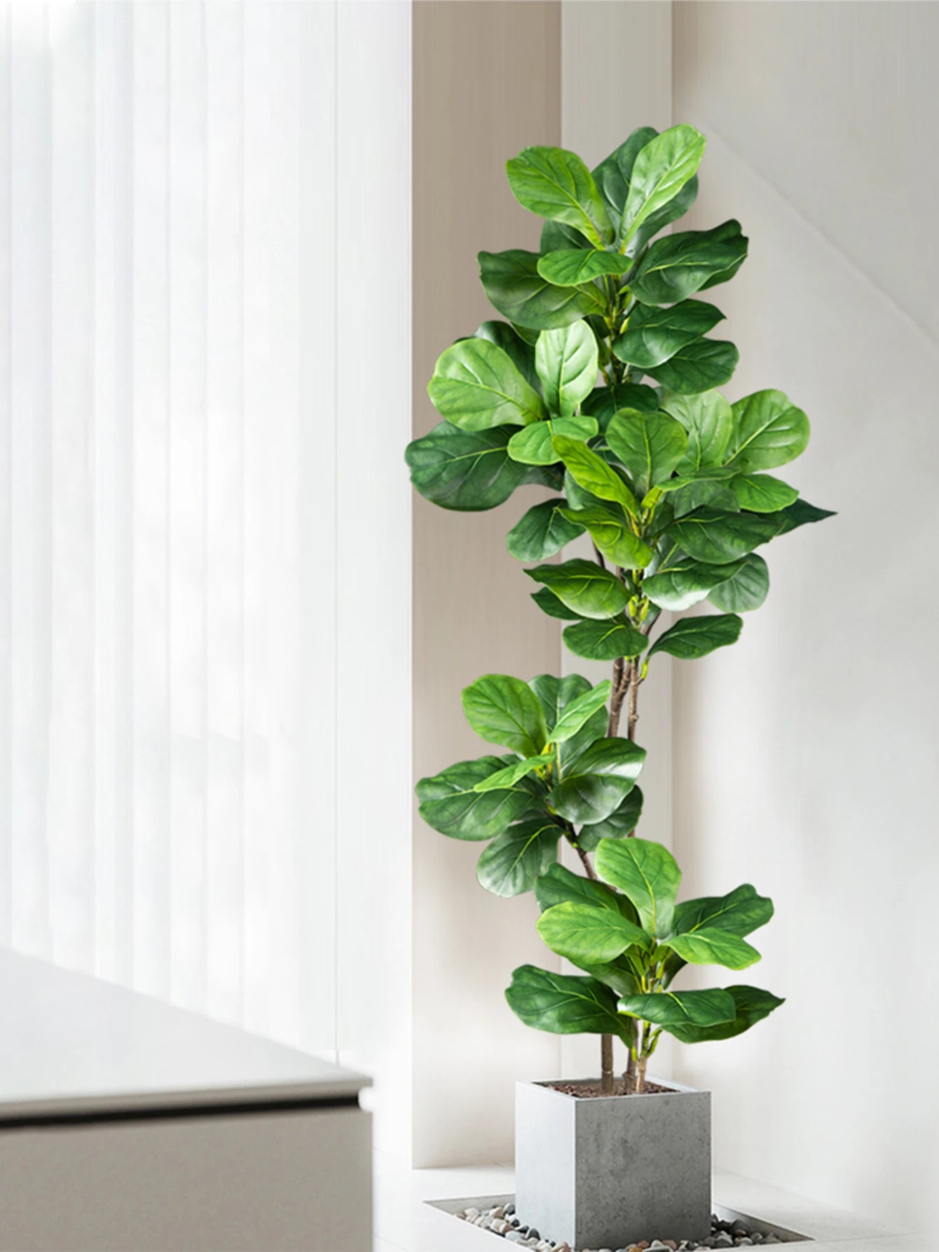 DecoFicus® – A Sophisticated Touch for Your Space.