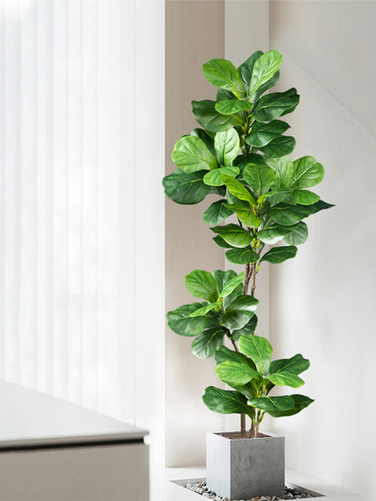 DecoFicus® – A Sophisticated Touch for Your Space.