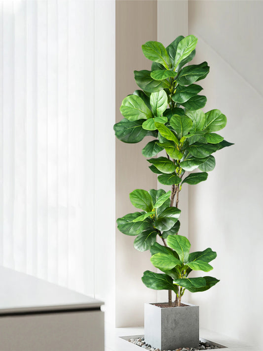 DecoFicus® – A Sophisticated Touch for Your Space.